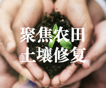 聚焦農(nóng)田土壤修復(fù)，保障糧食產(chǎn)品安全 ——踔厲奮發(fā)、篤行不怠，以奮斗之姿獻(xiàn)禮黨的二十大